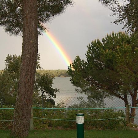 Parque De Campismo Orbitur Montargil Hotell Eksteriør bilde